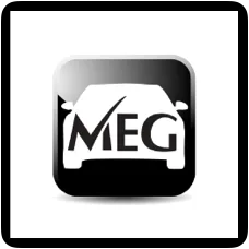 MEG